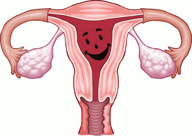Happy Ovaries